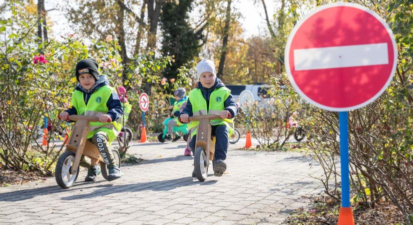 Régóta várt zebrákat adtak át Fejérben