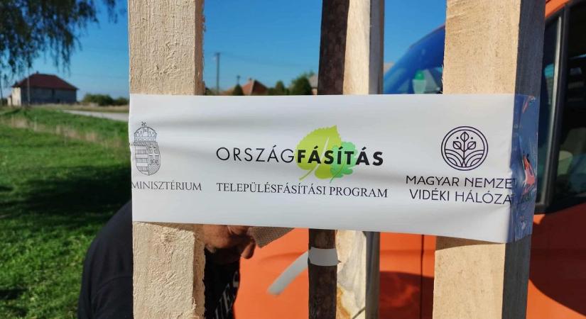 Folytatódik a településfásítás Egerben