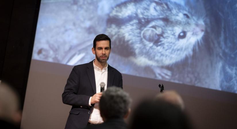 Kiemelt figyelmet fordít az Agrárminisztérium a magyar szöcskeegér védelmére