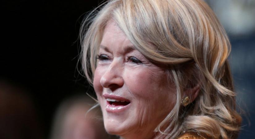 Kicsi a konyha? Martha Stewart a rozsdamentes acélra esküszik