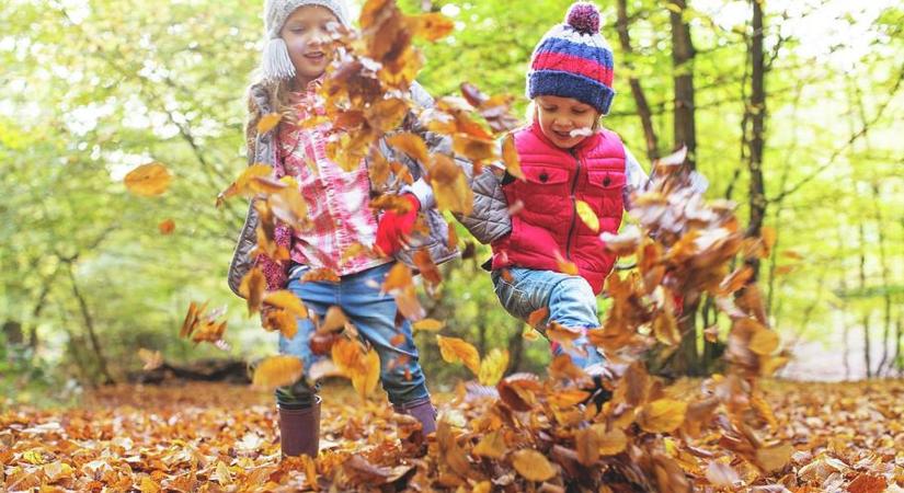 Egyetlen ugrás is elég – ezért ne engedd az avarba a gyereked!