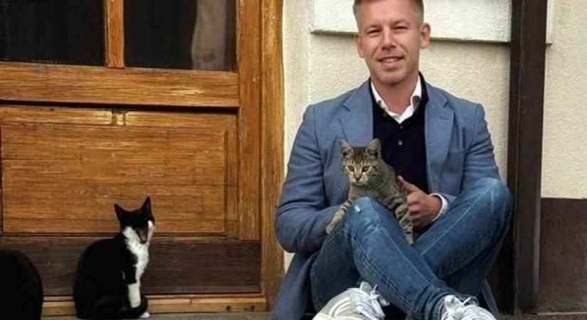 Menczer Tamás Magyar Péternek: Hova tűnt az ukrán Miroslav Tokar, aki a Tisza applikációját fejlesztette?