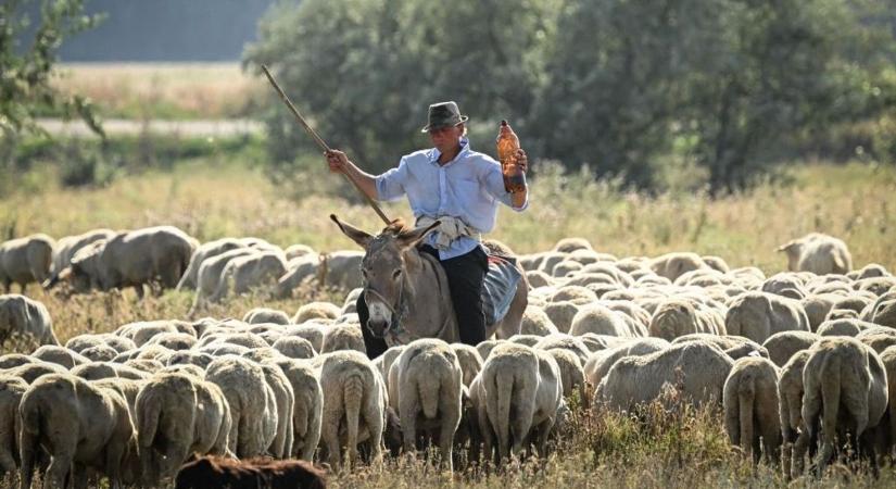 Bezzegország? – Románia földjeinek nagy része már külföldi kézben van
