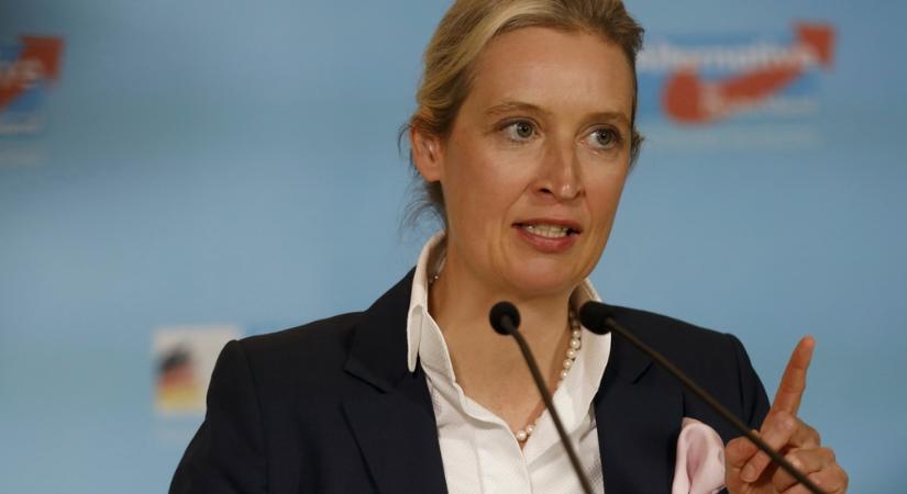 Brutális előretörés Németországban: az AfD a legmagasabb, valaha mért eredményt érte el