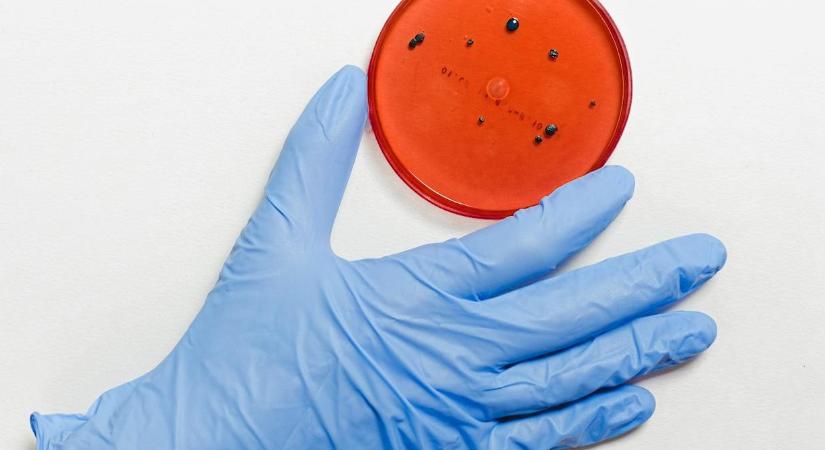 12 millió baktérium él azon a tárgyon, amit minden nap a szánkba teszünk