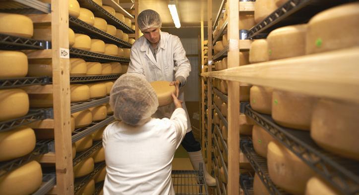 Átszervezés kezdődik: zalaegerszegi sajtüzemét bezárja, veszprémi gyáregységét fejleszti a francia cég