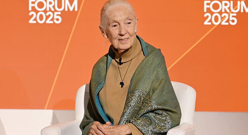 Kiderült Jane Goodall halálának oka