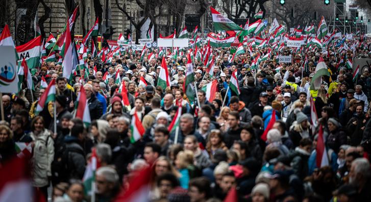 Az ideális tüntető – Október 23. elé