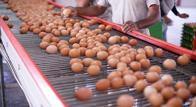 A zalaegerszegi munkaerőpiac legfrissebb trendjei