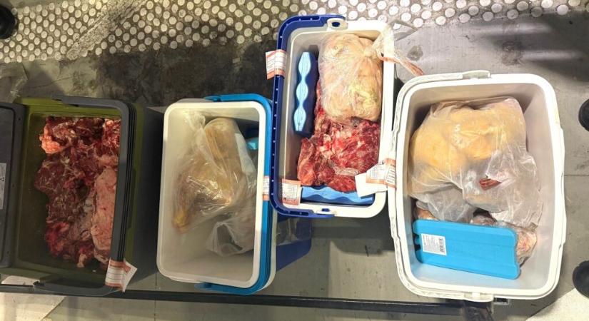A lehető legjobb helyre került a Horgoson lefoglalt másfél mázsa friss hús