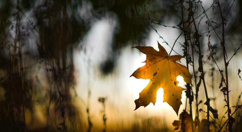 A délies szél meghozza a 20 fokot október végére