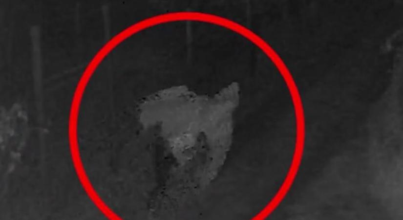 Elmondta egy férfi, hogy többször is elhurcolták és munkára kényszerítették – a legutolsó esetről videó is készült