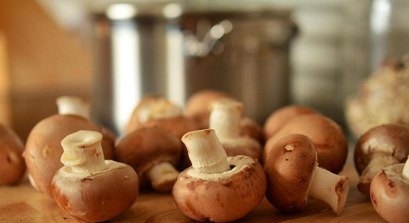 Foggal-körömmel tiltakozik az Agrárkamara és a Gazdakörök