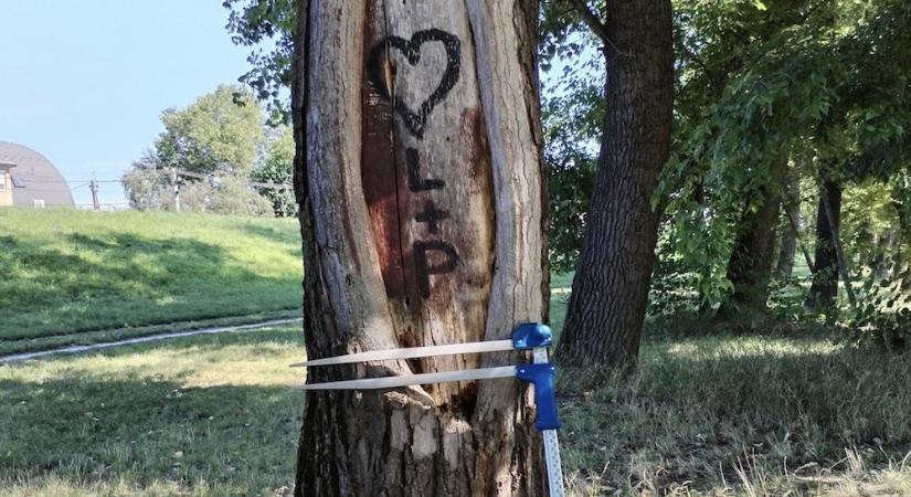 Megszépül a Széchenyi híd alatti partszakasz Győrben