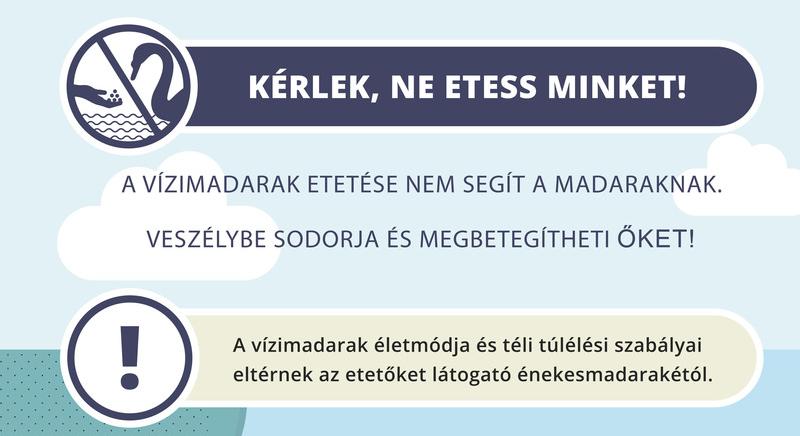 Ne etessük a vízimadarakat!