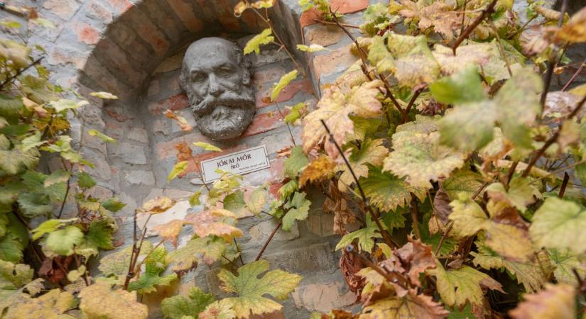 Kellemes, de hűvös őszi délután várható Fejérben