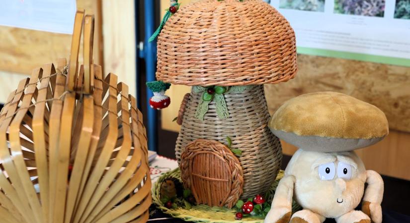 Gombák bélyegen, terítőn, szalvétán: kuriózum Nyíregyházán