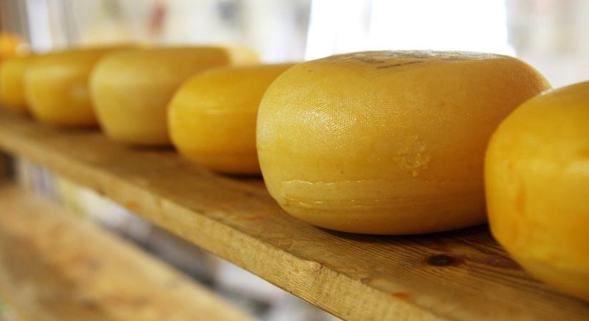 Kilőtt a népszerű sajt ára: a kiváltságosok csemegéje lesz?