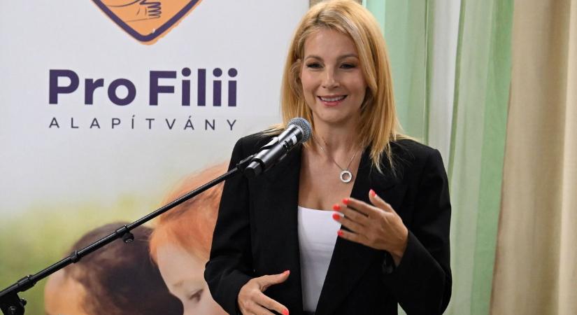 Évente 20 milliárd forint anyagi támogatást nyújt a Mészáros Csoport