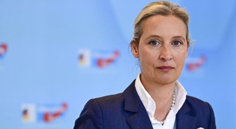 „A magyar emberekre komoly feladat vár a jövő évi választásokon” – az AfD elnöke a Mandinernek