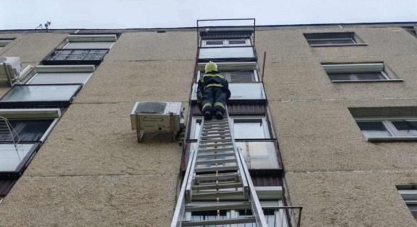 Megdőlt fa, égő gallyak és egy zuhanó macska – mozgalmas napjuk volt a tűzoltóknak