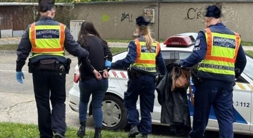Idős asszonyt támadott meg és kirabolta: így fogták el a rendőrök Győrben - videó