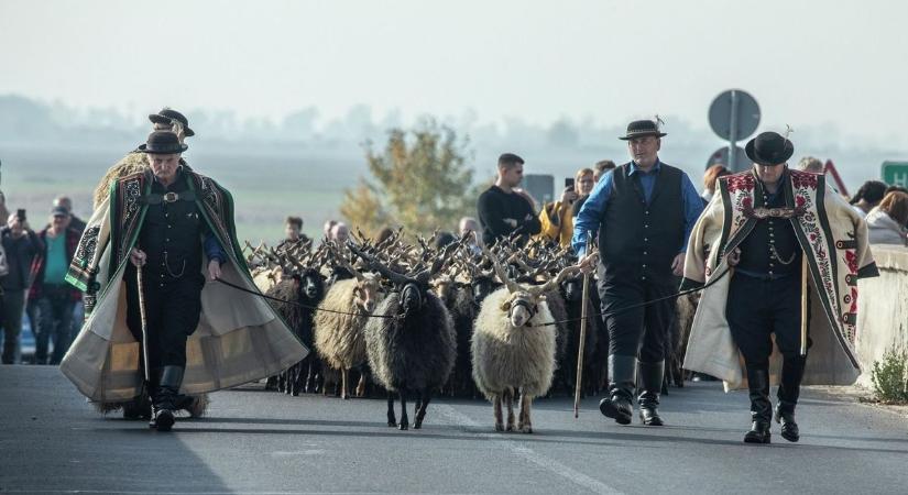 Az ingyenes programok hosszú hétvégéje jön Hajdú-Biharban! Ezért a listáért a nyár is sírva könyörögne!