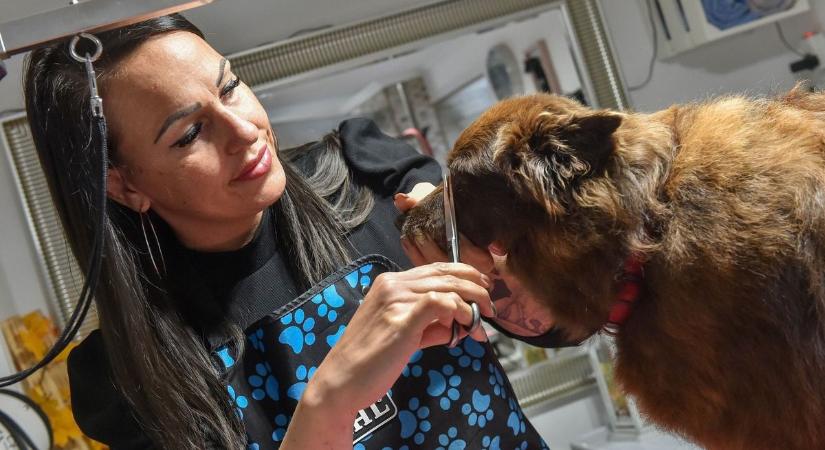 A tiszaújvárosi nyomozónő, akit a kutyák is imádnak