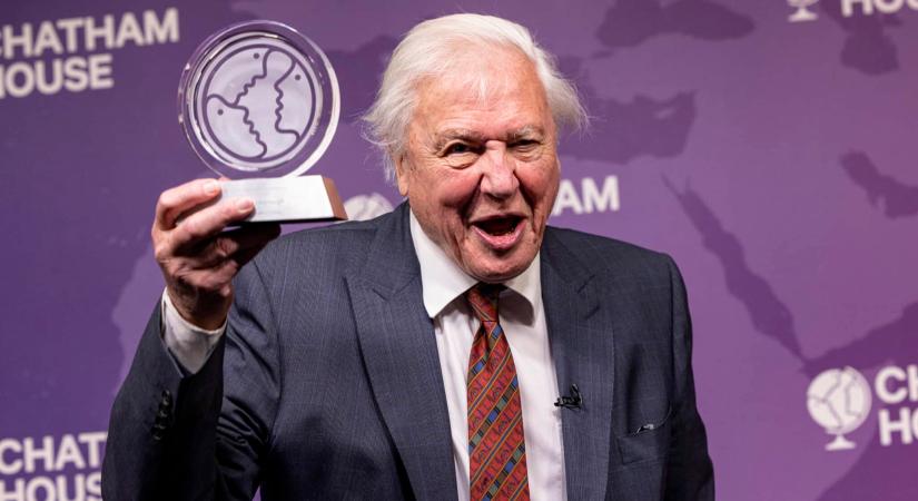 Rekordot döntött David Attenborough – sikerét részben az orangutánoknak köszönheti