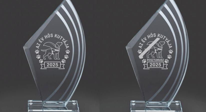 Megható történetek, valódi hősök – Megvan Az Év Hős Kutyája 2025 nyertese!