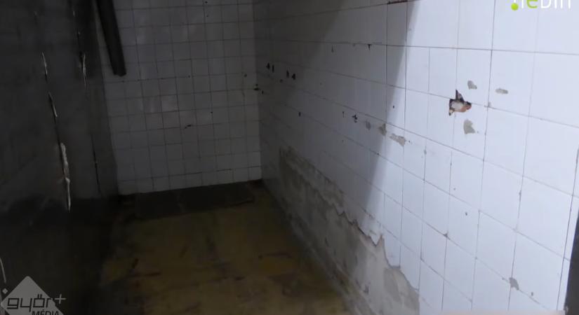 Rovarok és mocsok mindenütt – megdöbbentő, amit a Nébih ebben a sütőüzemben talált! – VIDEÓ!