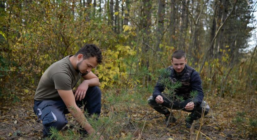 A Bedő Bonsai Klub akcióban: így vadásznak a jövő miniatűr mesterműveire