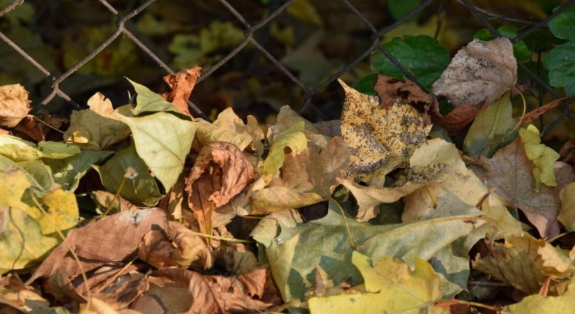 Borús, de enyhe időnk lesz a munkahét közepén