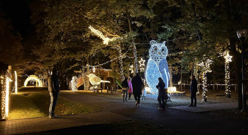 Szolnokon megnyílik a Fényállatok Parkja a Bagolyvár Vadasparkban (képgaléria, videó)