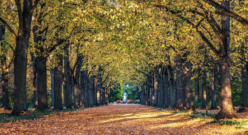 Aranyló őszi fényben Gödöllő Erzsébet-parkja