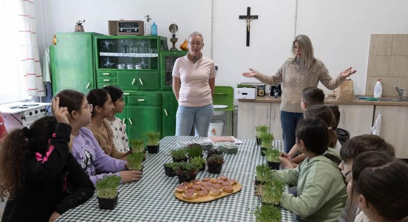 Mi kerül az asztalra? Egy anyuka ötlete, ami megváltoztathatja az iskolai egészségnevelést (galériával)