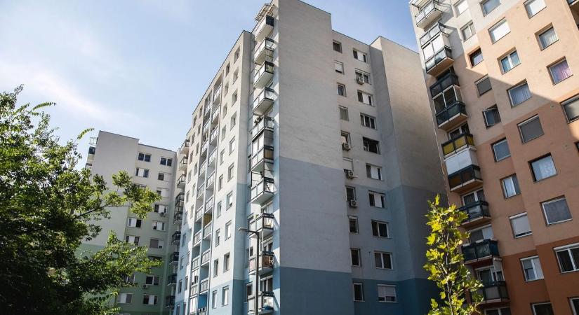Minden szülő rémálma lett valóság egy debreceni panelban – ezt tette édesanyjával a 2 éves kisfiú