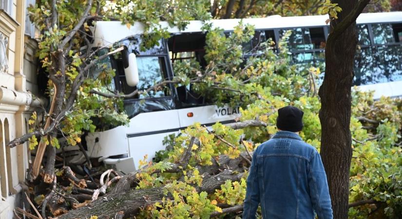 Súlyos buszbaleset történt Magyarországon ma reggel, iskola épületébe csapódott a jármű, rengeteg a sérült