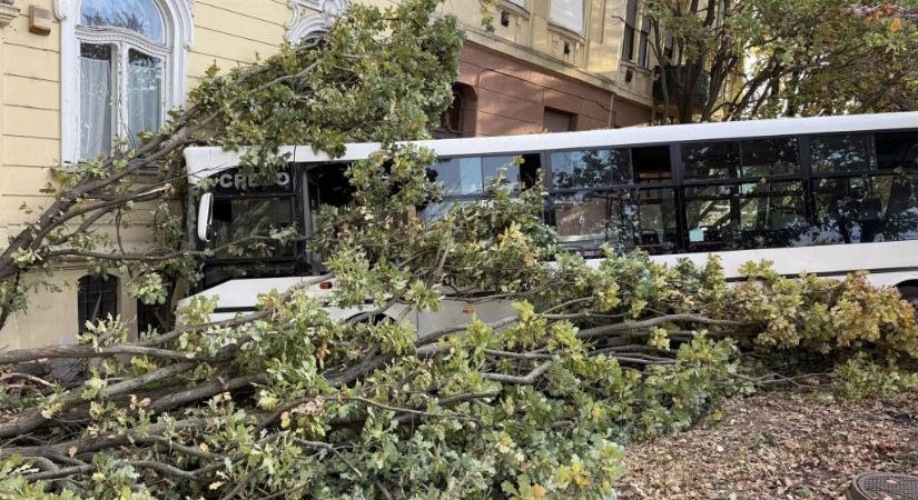 A buszsofőr rosszulléte miatt csapódhatott a busz a szolnoki gimnáziumba – megszólalt a polgármester