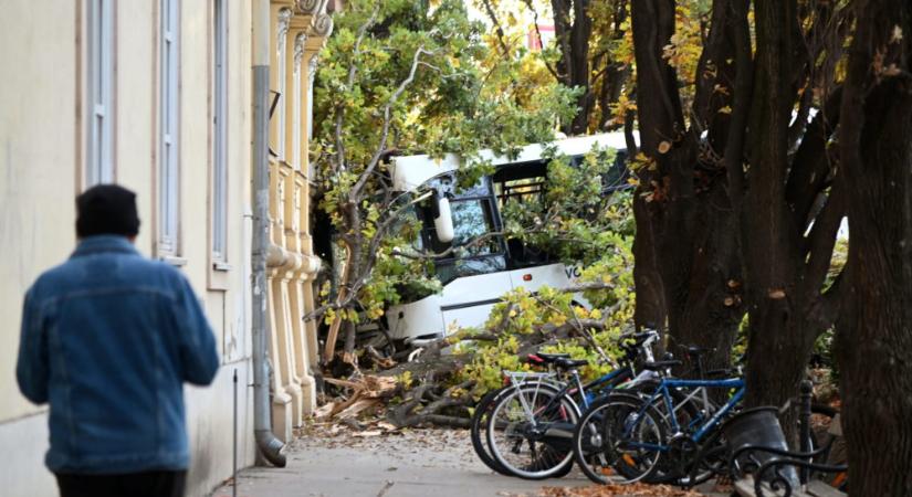 Iskolaépületnek hajtott egy busz Szolnokon