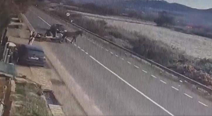 Baleset Kolozs megyében: autó ütközött szekérrel, a ló elpusztult (VIDEÓ)