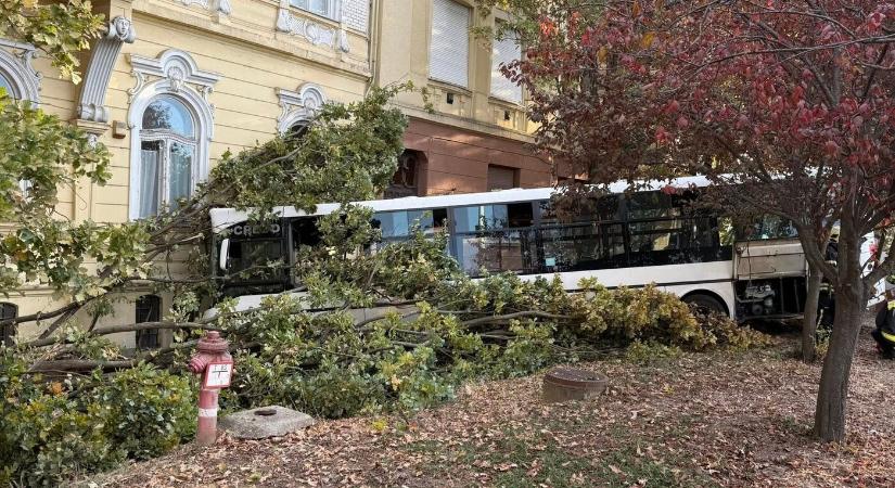 Iskolaépületnek hajtott egy busz Szolnokon, rengetegen megsérültek