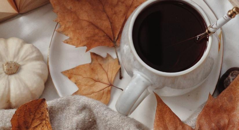 Teadélután az Írisz Versszínpaddal az MMK-ban