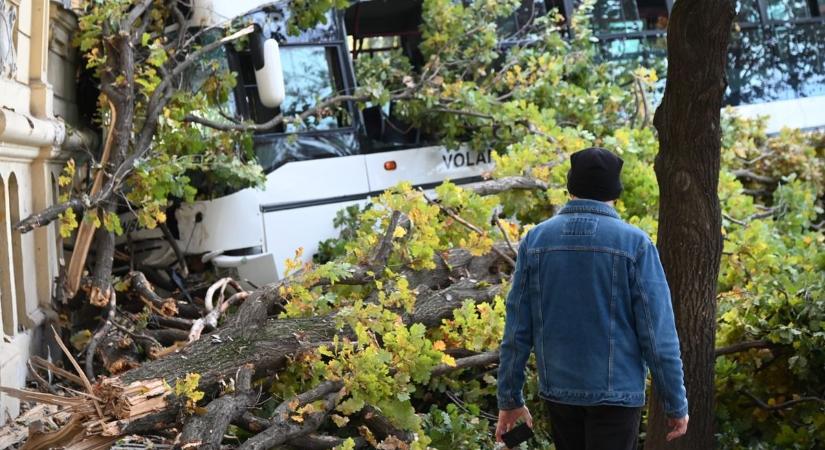 Busz csapódott egy iskola falába Szolnokon, több mint harmincan sérültek