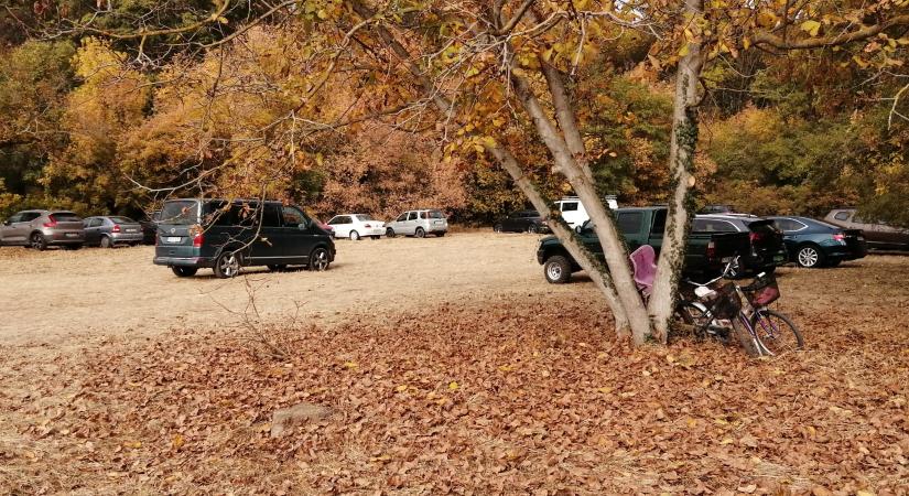 A parkolás és az erdőben való viselkedés problémája merült fel a közgyűlésen a trollszobor kapcsán
