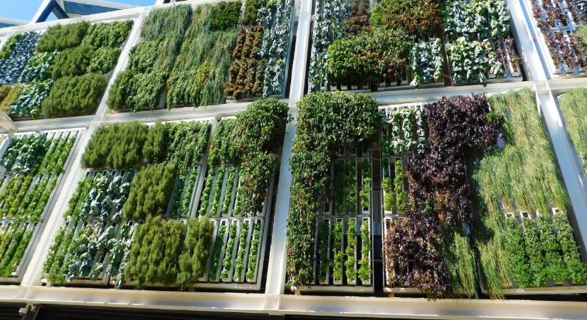 A vertikális farm jó ötlet – csak épp túlságosan szennyező