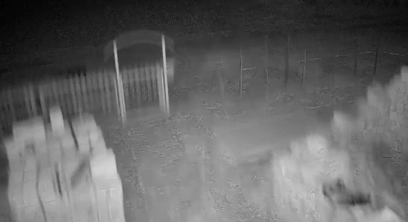 Videón, ahogy egy ház udvarát megrázza a csongrádi földrengés
