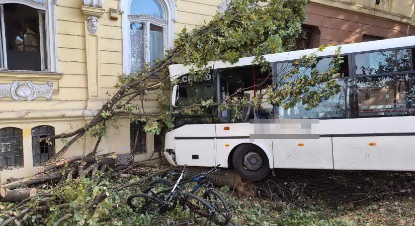 Szolnoki buszbaleset: újabb részletek derültek ki a tömegszerencsétlenségről, nyomoz a rendőrség