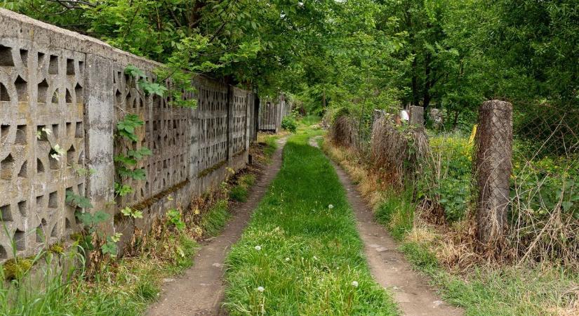 Atyaég, kannibál van a kertemben! De vajon mi lehet ez?