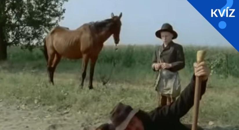 KVÍZ: Pár jellemzőt kapsz az ikonikus magyar filmekhez, találd ki, melyikre gondoltunk!